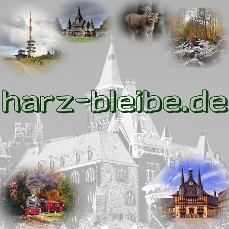 Harz-Bleibe Wernigerodeアパートメント エクステリア 写真