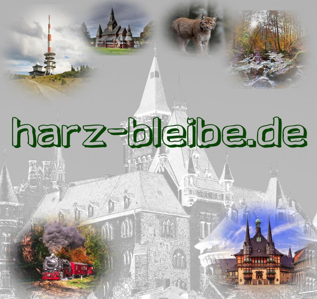 Harz-Bleibe Wernigerodeアパートメント エクステリア 写真